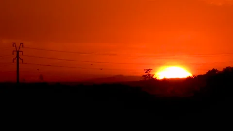 Birds passing in front of the sun Video stock 232620905
