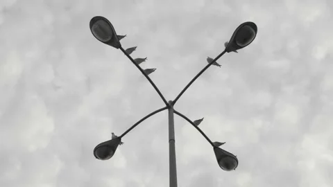 Birds pearch on a 4 way light in a parking lot with overcast skies Stock-Footage 339143607