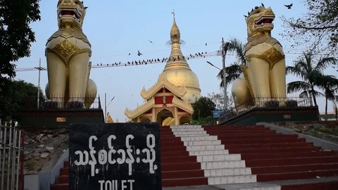 Birds Perch and Flock in Front of the Maha Wizaya Pagoda Video stock 90348857