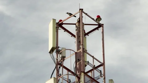 Birds Perch on a Cell Tower Against a Cloudy Sky Stock Footage 336863848
