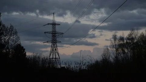 Birds perch on electric wires and fly away Stock Footage 76963553