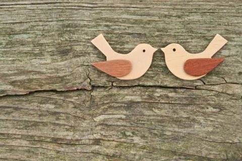 Birds Stock Photos