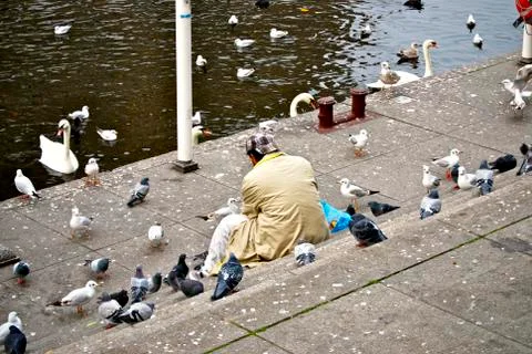 Birds Stock Photos