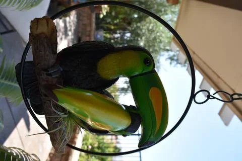Birds 스톡 사진