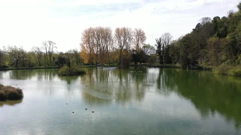 Birds on pond 動画素材 168373274