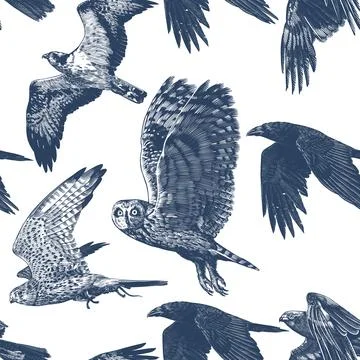 Birds of prey flying Hand drawn seamless pattern. Engraving woodcut style Stock Illustration