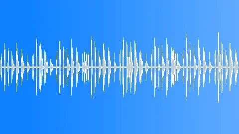 Red Hawk Sound Effects Royalty Free Red Hawk Sounds Pond5