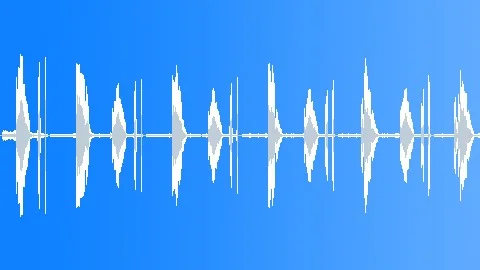 Red Hawk Sound Effects Royalty Free Red Hawk Sounds Pond5