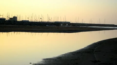 Birds reflected on water 01 Stock Footage 20480215