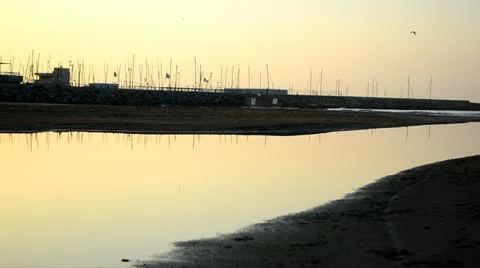Birds reflected on water 02 Stock-Footage 20487777