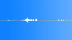 Birds Residential Ambience Very Quiet Chirps Wind Rumble Variable Traffic Hum D Sound Effect