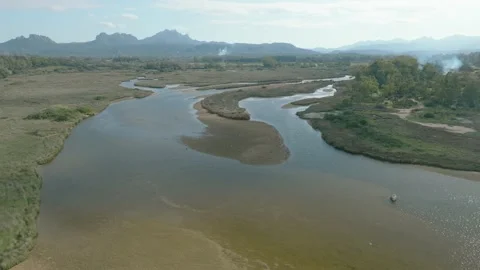 Birds rest in a river delta Stock Footage 233923027