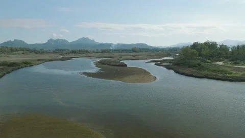 Birds rest in a river delta Video stock 233923305