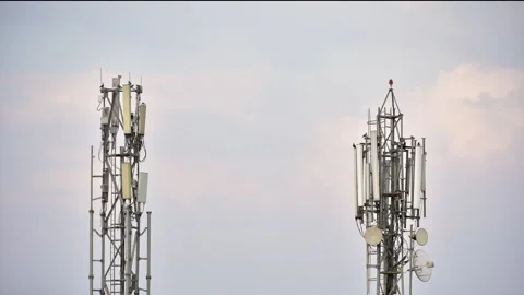  Birds Resting on a Mobile tower at sunset evening time  Stock Footage 135827965