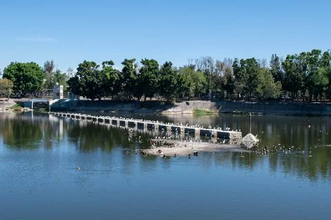 Birds resting on a small dam structure over the lake at Parque Independencia Stock Photos