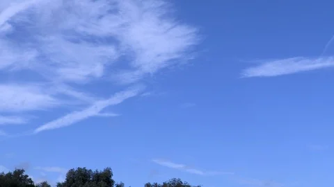 Birds by the river Stock Footage 116895983