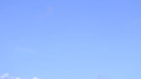 Birds by the river Stock Footage 116896898