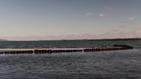 Birds on a sandbar on the edge of Lake Champlain. Port Henry Marina. Stock Footage 273607579