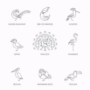 Birds set icon Stock Illustration