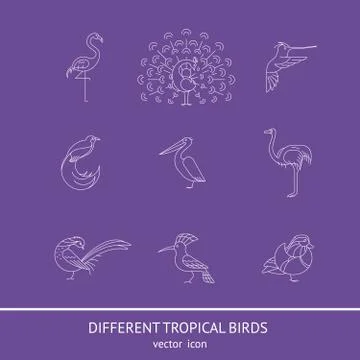 Birds set icon Stock Illustration
