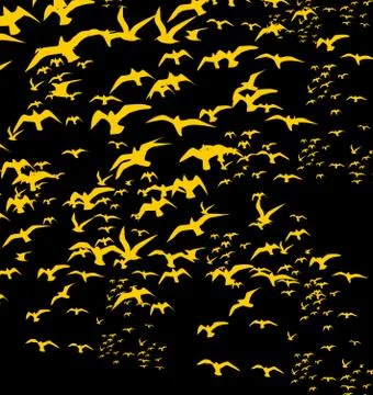 Birds silhouette sets vector art Illustrazione stock