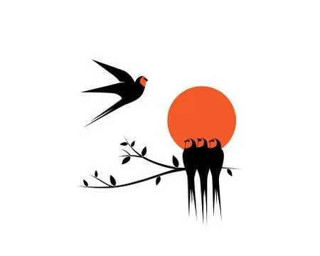 Birds silhouettes on branch on sunset, vector Stock Illustration