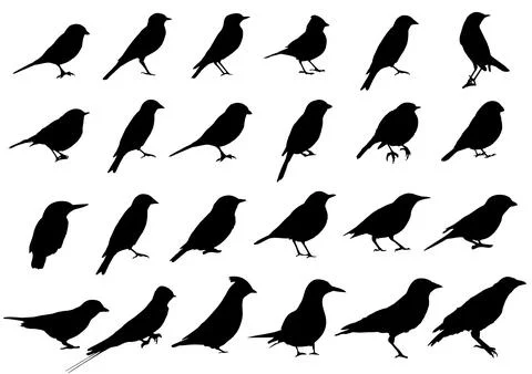 Birds silhouettes collection Stock Illustration