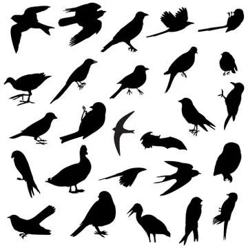 Birds silhouettes Stock Illustration