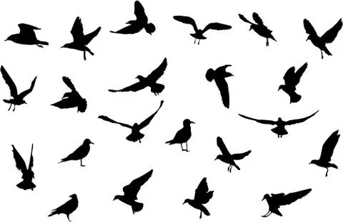 Birds silhouettes Stock Illustration