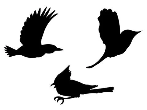 Birds Silhouettes. Stock Illustration