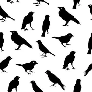 Birds Silhouettes Seamless Pattern Background Vector Illustratio Stock Illustration