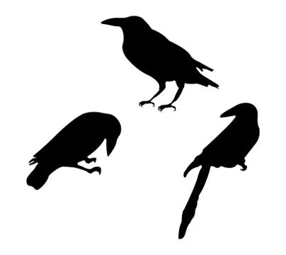 Birds Silhouettes. Vector EPS 10. Stock Illustration