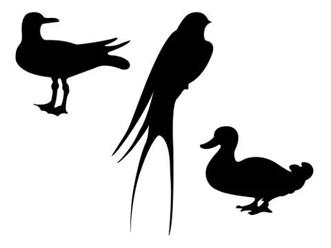 Birds Silhouettes. Vector EPS 10. Stock Illustration
