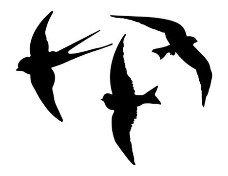 Birds Silhouettes. Vector EPS 10. Stock Illustration