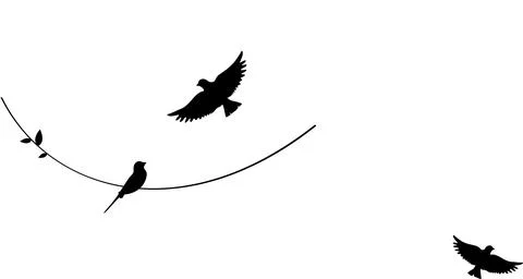 Birds silhouettes on wire , vector. Wall decals Stock Illustration