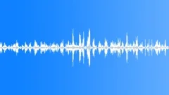 Birds Sing in the Early Morning (denoised) 02Sound Effect