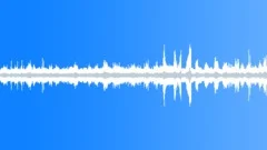 Birds Sing in the Morning by the Busy River - ambient, background loop Sound Effect