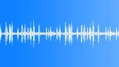 Birds Sing - Morning in the Forest (ambient, denoised loop) 01 Sound Effect