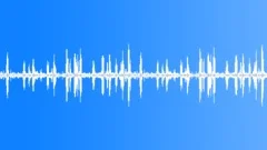 Birds Sing - Morning in the Forest (ambient, denoised loop) 02Sound Effect