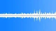 Birds Sing in the Morning by the River - ambient, background loop Sound Effect