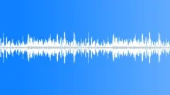 Birds Sing at the River - ambient, denoised loop 01Sound Effect