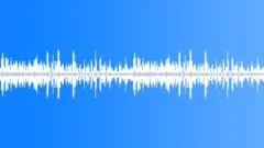 Birds Sing at the River - ambient, denoised loop 02Sound Effect