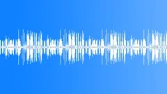Birds Singing in the City Yard (Looping) denoised 01Sound Effect