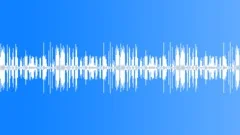 Birds Singing in the City Yard (Looping) denoised 02Sound Effect