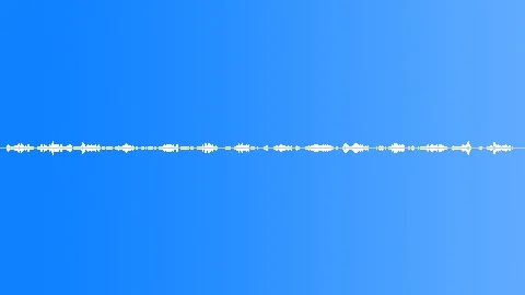 Birds singing dawn chorus birdsong Sound Effect