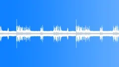 Birds Singing, Dogs Barking - CityPark (Looping) Sound Effect