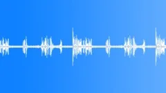Birds Singing, Dogs Barking - CityPark (Looping) denoised 02Sound Effect