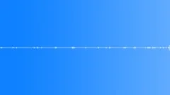 Birds singing on a mountain river bank at night 1 Sound Effect