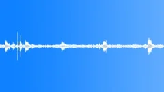 Birds singing in the rain 01 Sound Effect