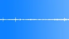Birds Singing on the River - Background loopSound Effect